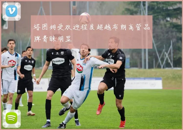 塔图姆受欢迎程度超越布朗高管品牌青睐明显